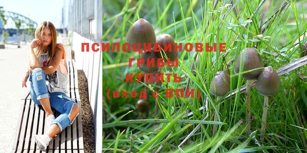 наркотики Бородино